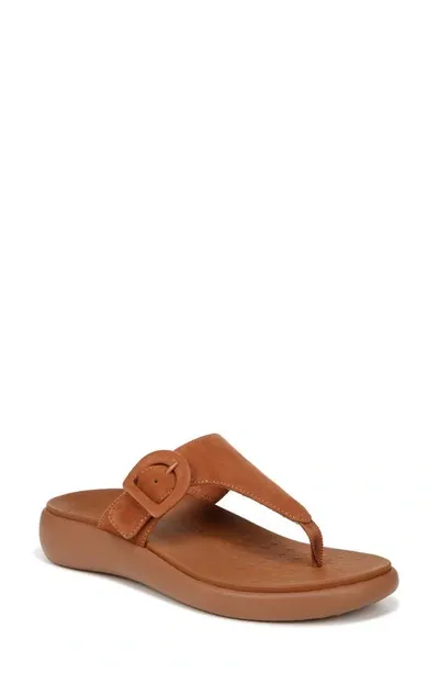 Vionic Activate Rx Platform Sandal In Argan Brown