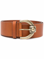 Etro Wide Calf Leather Belt In Braun