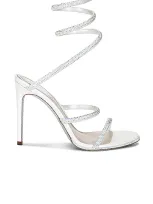 René Caovilla Cleo 105mm Lace Up Sandal In Ivory & Transmission