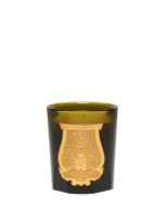 Trudon Bougie Parfumée Cyrnos (arômes Méditerranéens) 270g In Green