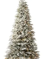 Balsam Hill Artificial Led Frosted Light Fraser Fir Tree In Led Clear