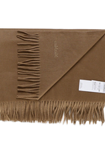 Max Mara Logo Embroidered Fringed Scarf In Brown