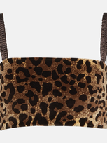 Dolce & Gabbana Leopard-print Velvet Crop Top In Multicolor