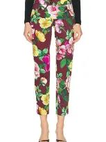 Dolce & Gabbana Floral Pant In Camelia