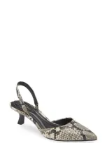 Open Edit Cammie Kitten Heel Slingback Pump In Black-white Snake