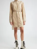 Max Mara Brioso Pinstripe Cotton & Silk Shirtdress In Beige