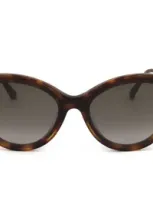 Jimmy Choo Eyewear Cat In Brown