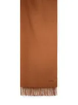 Max Mara Baci Light Brown Chasmere Scarf