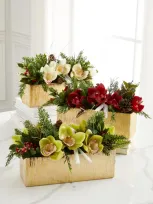 T & C Floral Company Holiday Orchids Faux Floral Arrangement With Gold Rectangle Container In White