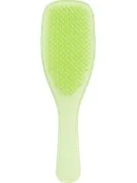 Tangle Teezer Plant Brush For Fine & Fragile Hair In Matcha Green